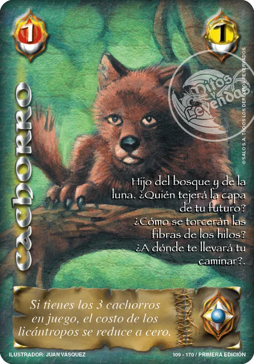 Cachorro