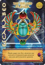 DOM-489-JUEGO-ORGANIZADO