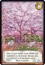 Sakura