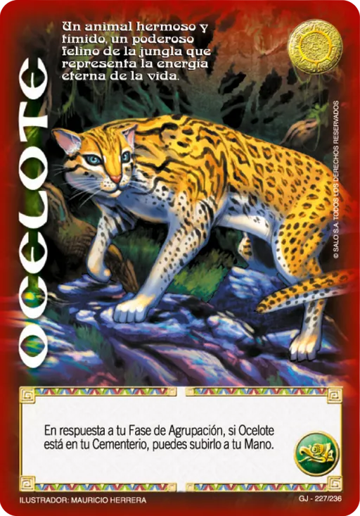 Ocelote