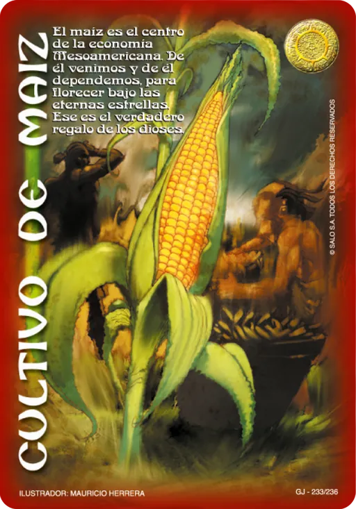 Cultivo de Maiz