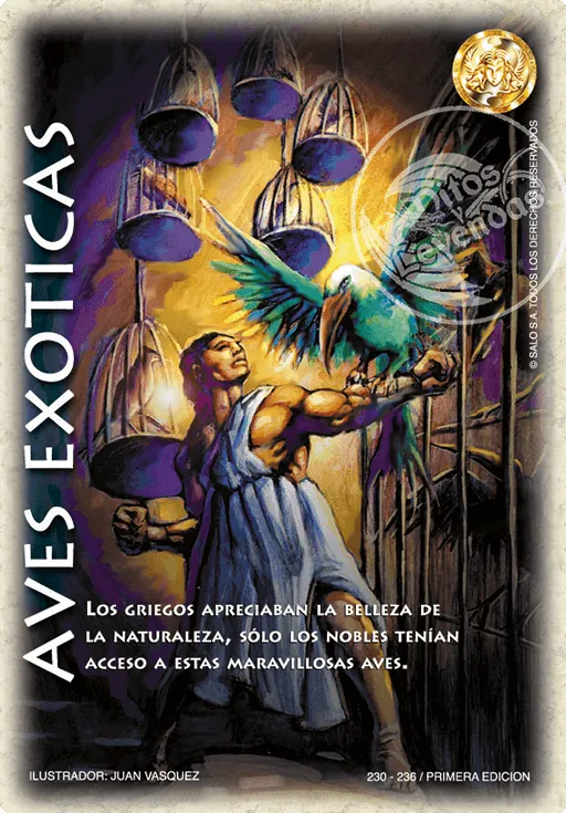 Aves Exóticas