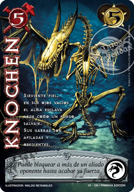Knochen