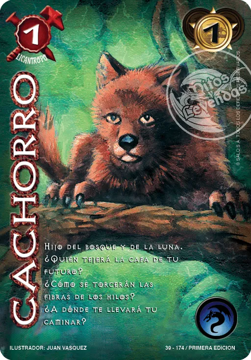 Cachorro