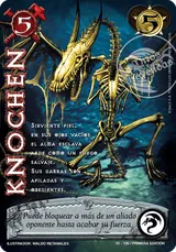 Knochen