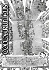 RAG-290-SECRETA-PLATEADA-04