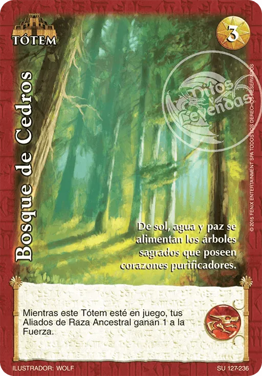 Bosque de Cedros