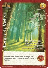 Bosque de Cedros